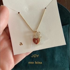 Brand New Joy Necklace from Ana Luisa